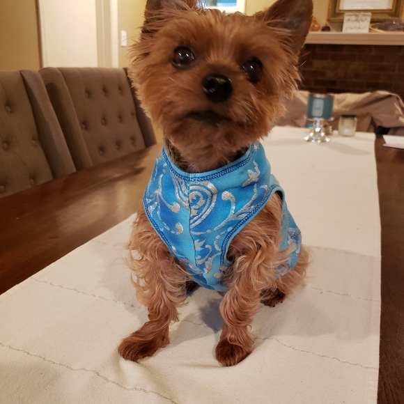 Host Pick 🤩🐕🥰 "Good Karma" Doggo Shirt - Picture 2 of 12